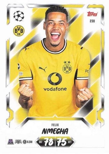 230 Felix Nmecha (Borussia Dortmund) (MACL2627)