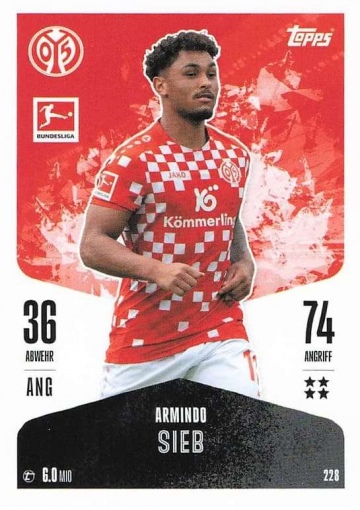 228 Armindo Sieb ( MABL24/25 )
