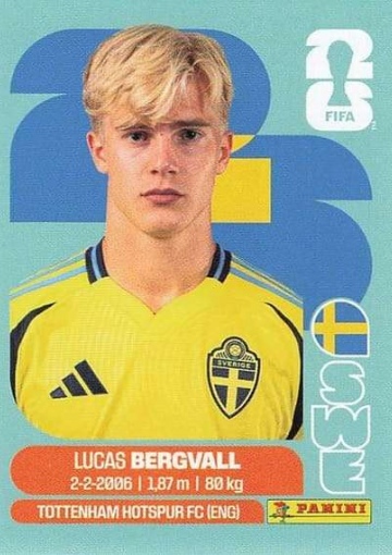 SWE8 (PSFWC26)