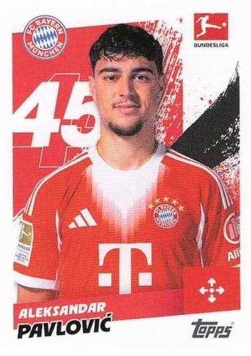 250 Aleksandar Pavlović (TSBL2526)