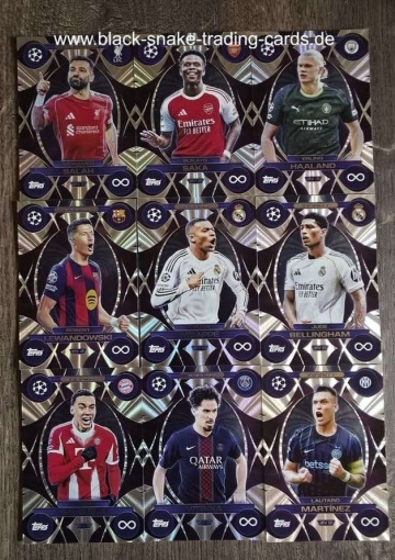 Set Invinity ( Alle 9 ) ( MACL25/26 )