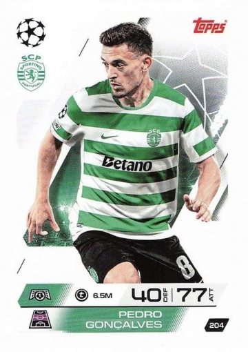 204 Pedro Gonçalves ( MACL25/26 )