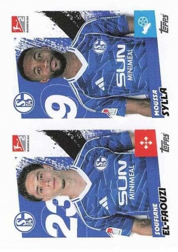 354 Soufiane El-Faouzi / Moussa Sylla (TSBL2526)