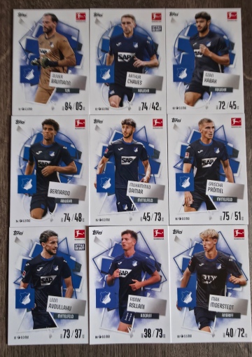 Basis Karten TSG Hoffenheim ( 91 - 99 ) ( MABL25/26 )