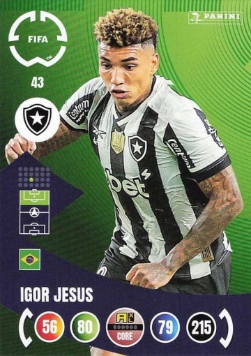 043.  Igor Jesus (Botafogo FR) (PAXLCWC25)
