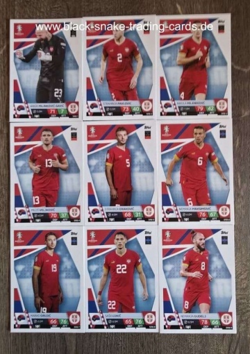 Komplettes Team Serbien ( Alle 18 )