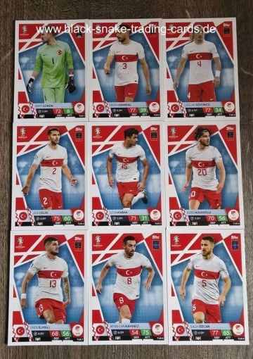 Komplettes Team Türkei ( Alle 18 )