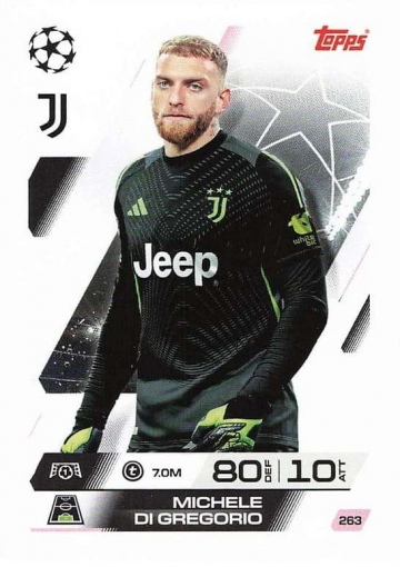 263 Michele di Gregorio ( MACL25/26 )