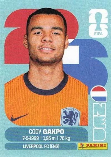 NED20 (PSFWC26)