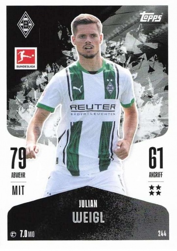 244 Julian Weigl ( MABL24/25 )